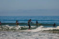 Almond X KBut | Mega Beach Chicken -Almond Surfboards Shop 2E1A3814