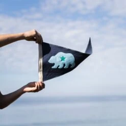 Slightly Choppy <br> California Bear Flag 11 Slightly Choppy <br> California Bear Flag -Almond Surfboards Shop 7Z4A2704