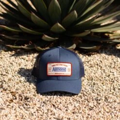 Everett Trucker Hat | Navy -Almond Surfboards Shop DN0A2411