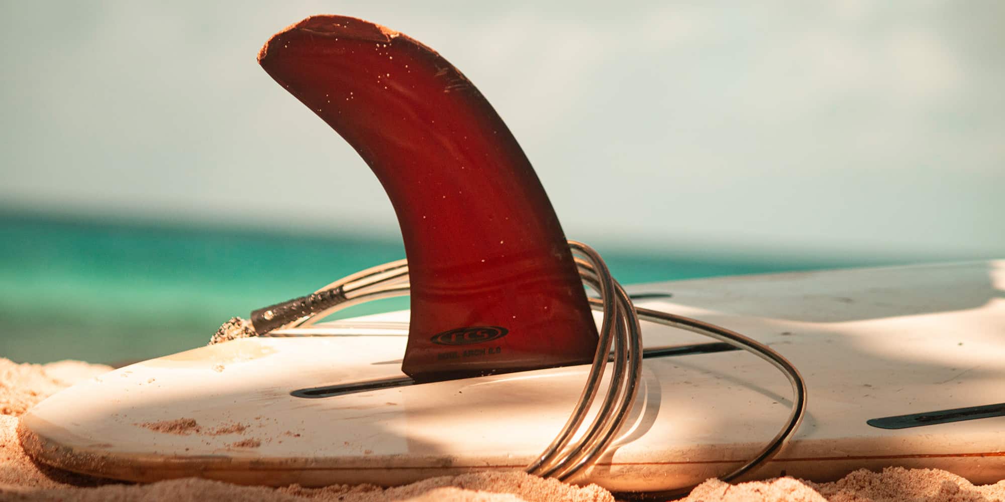 Front Page -Almond Surfboards Shop best surf accessories surf kit surf gear surfing guide