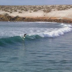 Almond X Chomp | Rover Model 11 Almond X Chomp | Rover Model -Almond Surfboards Shop conner rover mex 001 f23d3862 523f 44fb 8b10 d3b41701947f