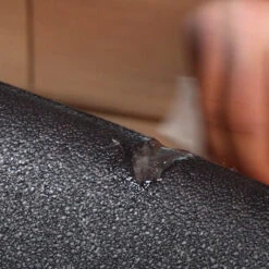 R-Series Repair Kit 8 R-Series Repair Kit -Almond Surfboards Shop foam damage ding