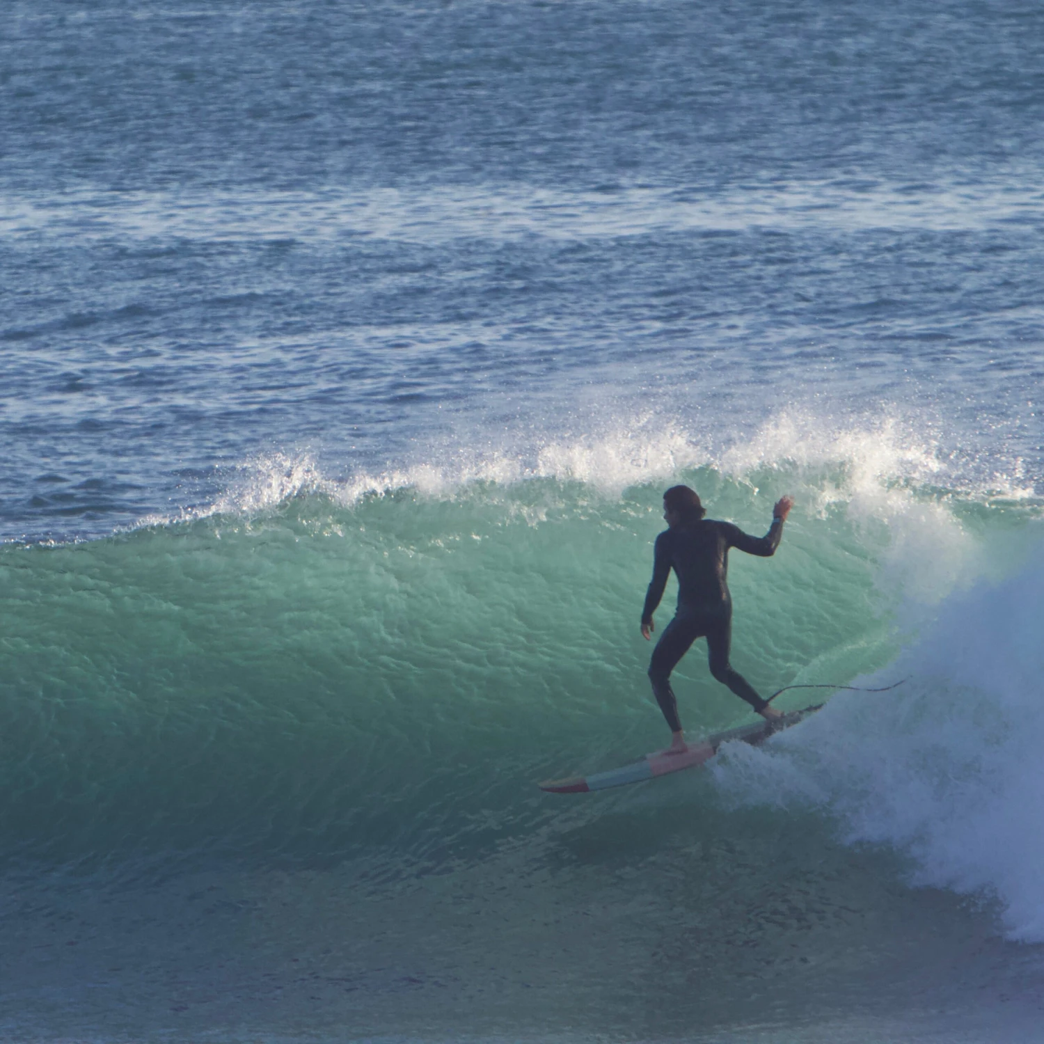 Almond X Chomp | Rover Model 4 Almond X Chomp | Rover Model - Image 2